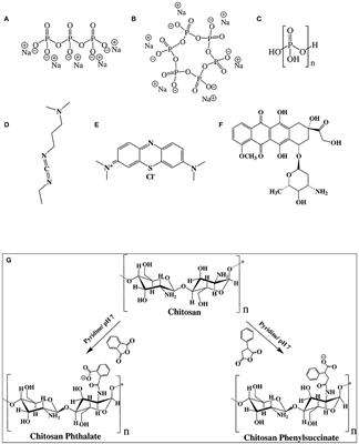 Stable Chitosan-Based Nanoparticles Using Polyphosphoric Acid or Hexametaphosphate for Tandem Ionotropic/Covalent Crosslinking and Subsequent Investigation as Novel Vehicles for Drug Delivery